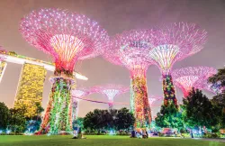 Singapore Aesthetic: Panduan Traveler untuk Spot Foto Hits 2025