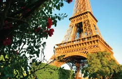 Mau Liburan, Pilih Negara Schengen atau Negara Lain?