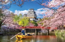 Jepang yang Tenang: Destinasi Wisata Musim Gugur buat Introvert